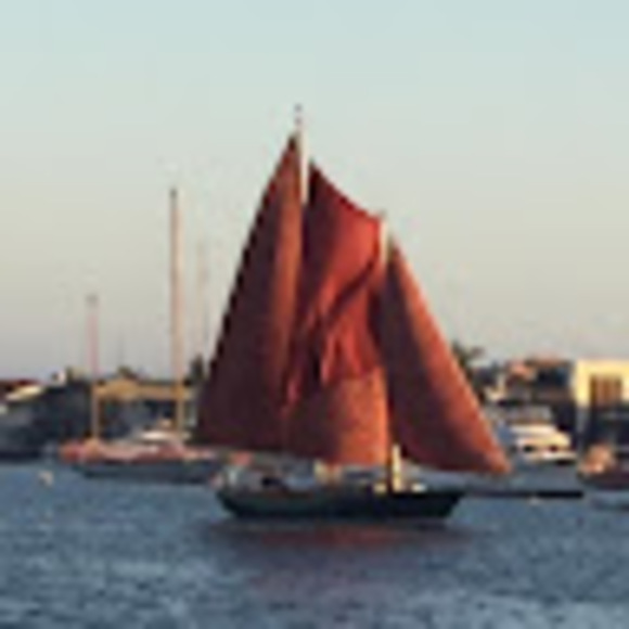 livelyschooner